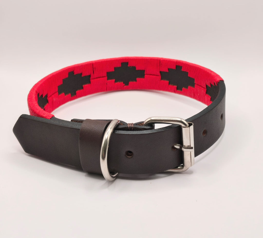 Duo Canin Complice - Collection Flor