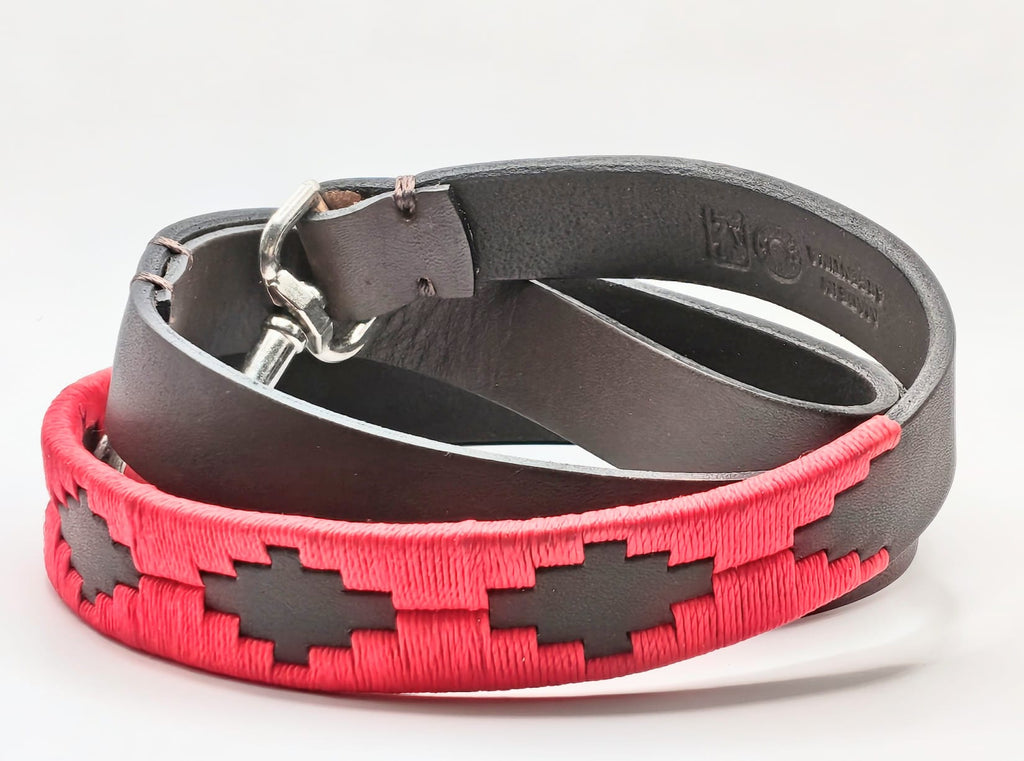 Laisse en Cuir Brodée pour Chien Flor - Brun Espresso et Rouge