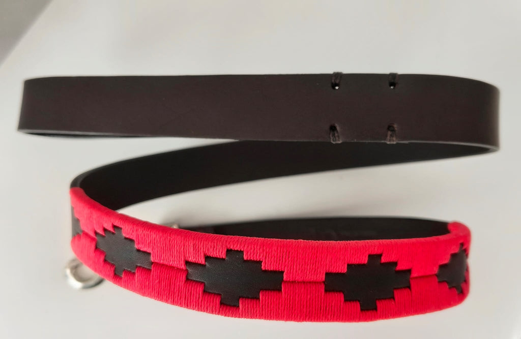 Laisse en Cuir Brodée pour Chien Flor - Brun Espresso et Rouge