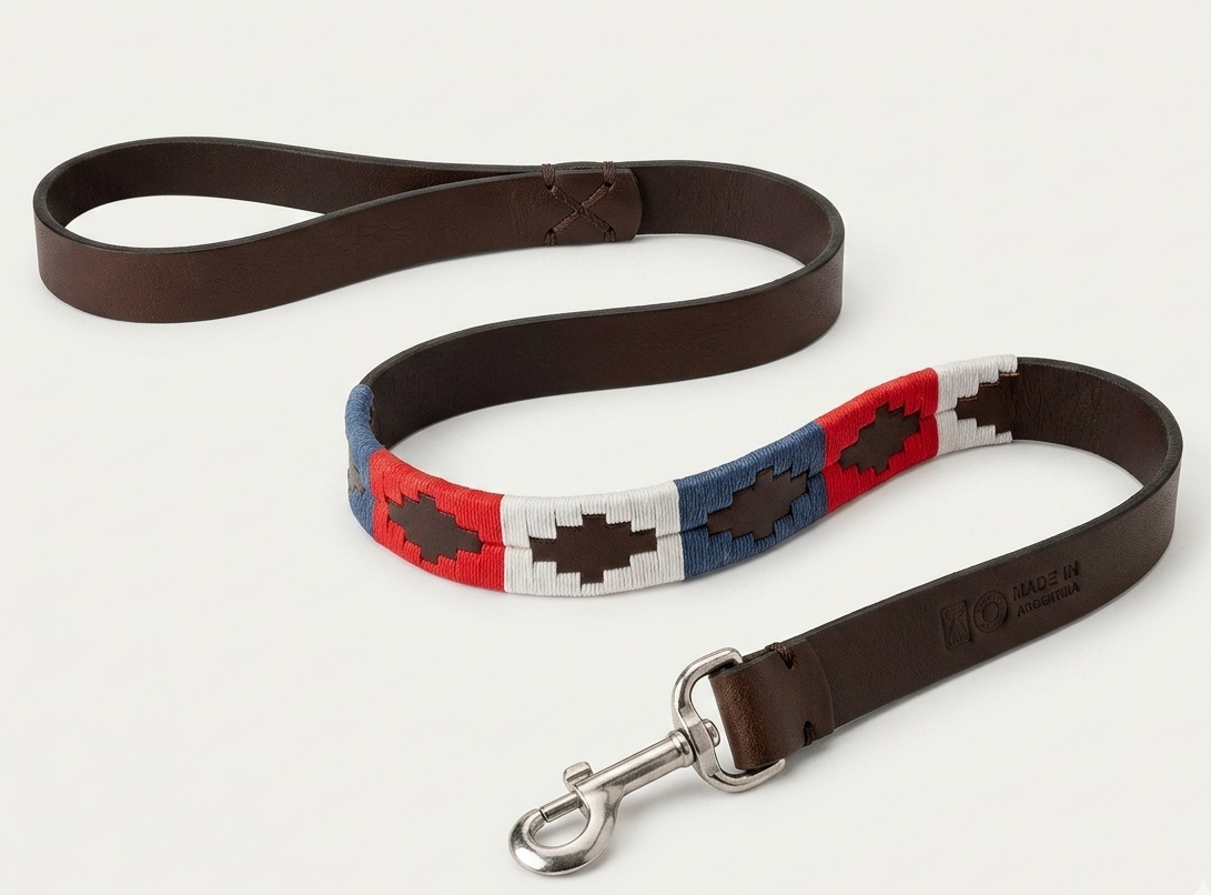 Laisse en Cuir Brodée pour Chien Francisca - Brun Chocolat, Bleu, Blanc et Rouge