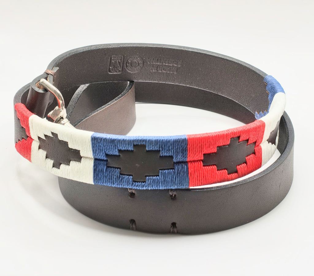 Laisse en Cuir Brodée pour Chien Francisca - Brun Chocolat, Bleu, Blanc et Rouge